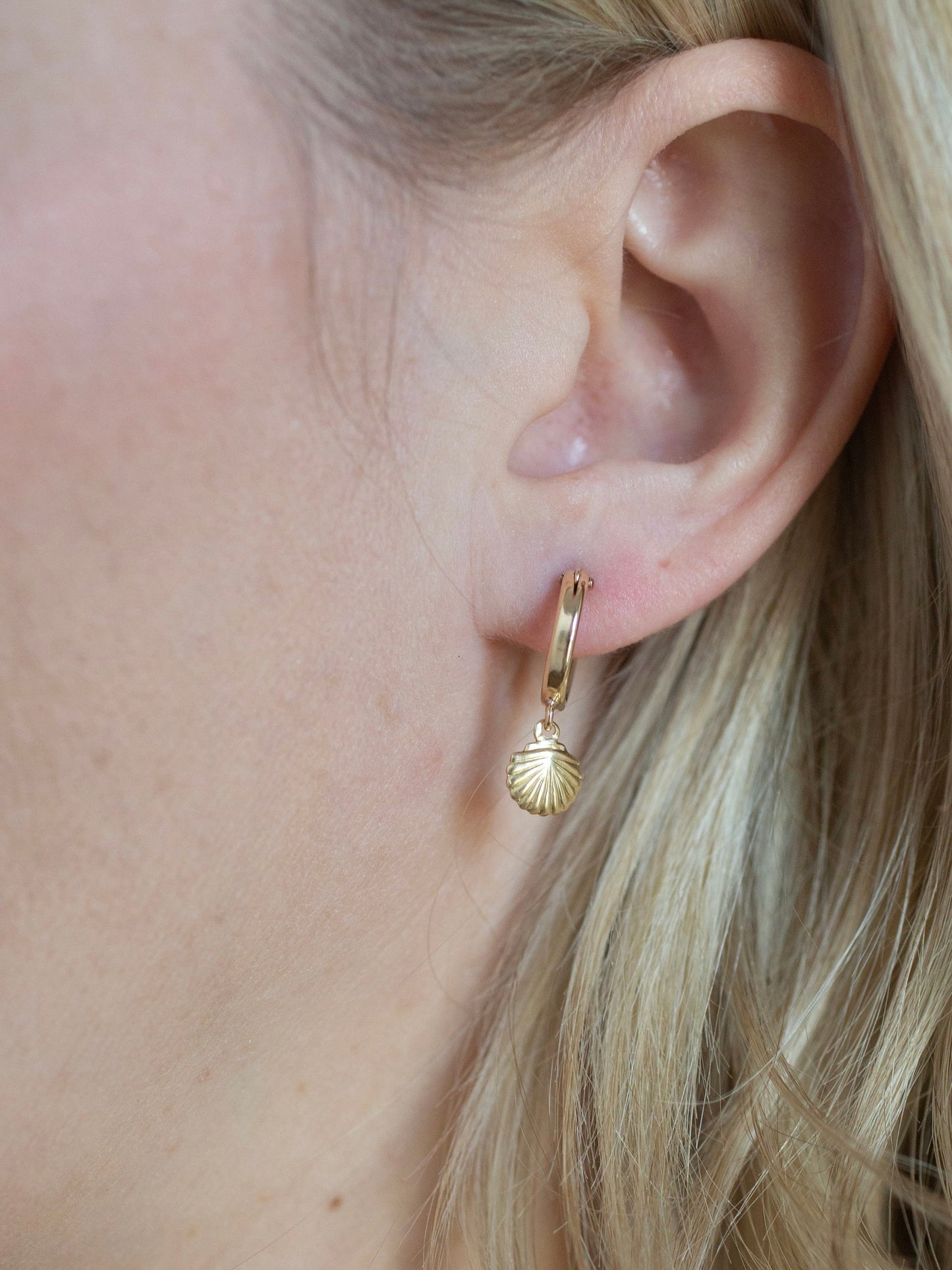 Gold Seashell Hoops Earing