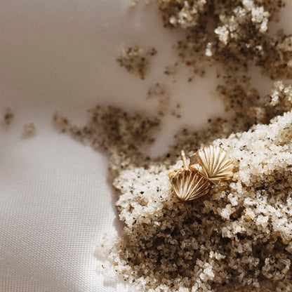 Scallop Shell Stud Earrings