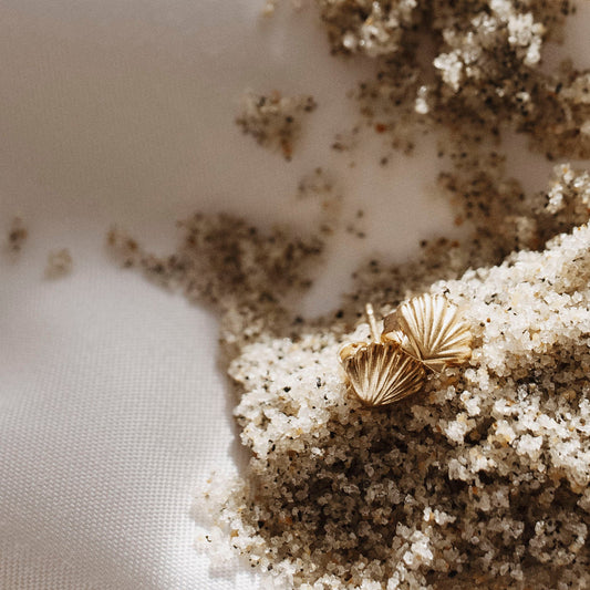 Scallop Shell Stud Earrings