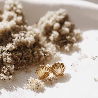 Scallop Shell Stud Earrings