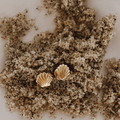 Scallop Shell Stud Earrings