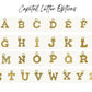 Sugar Fairy Letter Stanley Cup Charm