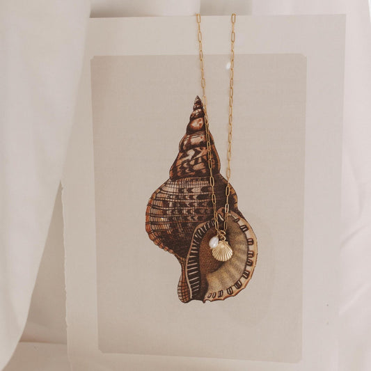 Coastal Pearl Shell Necklace